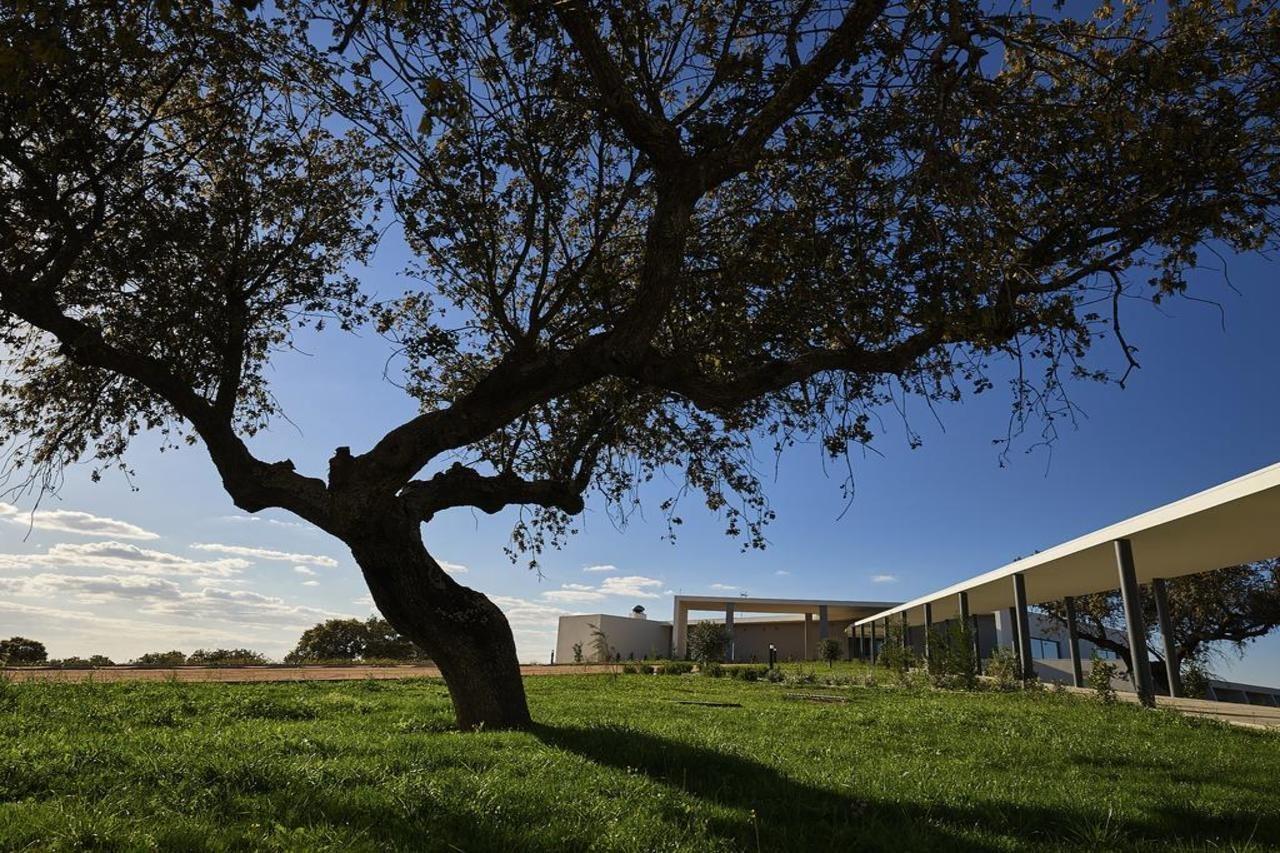 Herdade Dos Delgados Mourao Exterior photo